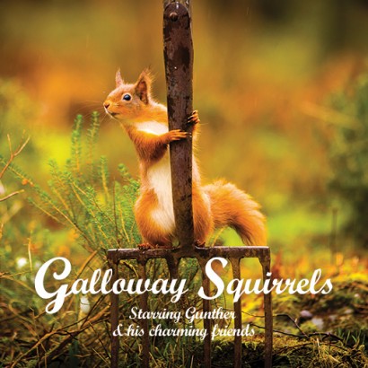 Galloway Squirrels