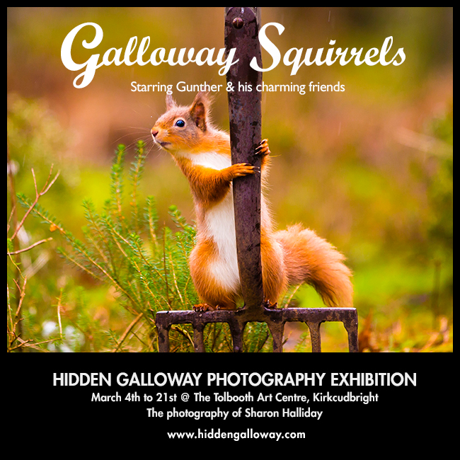 Red Squirrel photography exhibition