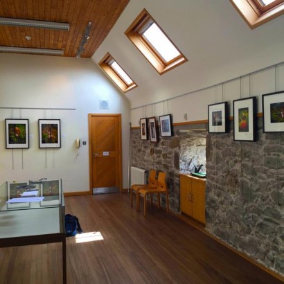 photography exhibition   - red squirrels